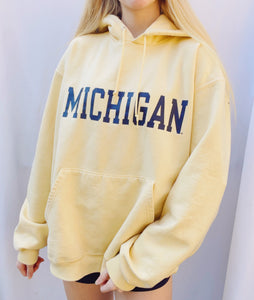 (M/L) Michigan Champion Hoodie