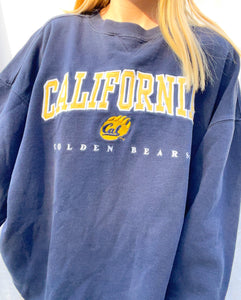 (XL) Berkeley Sweatshirt