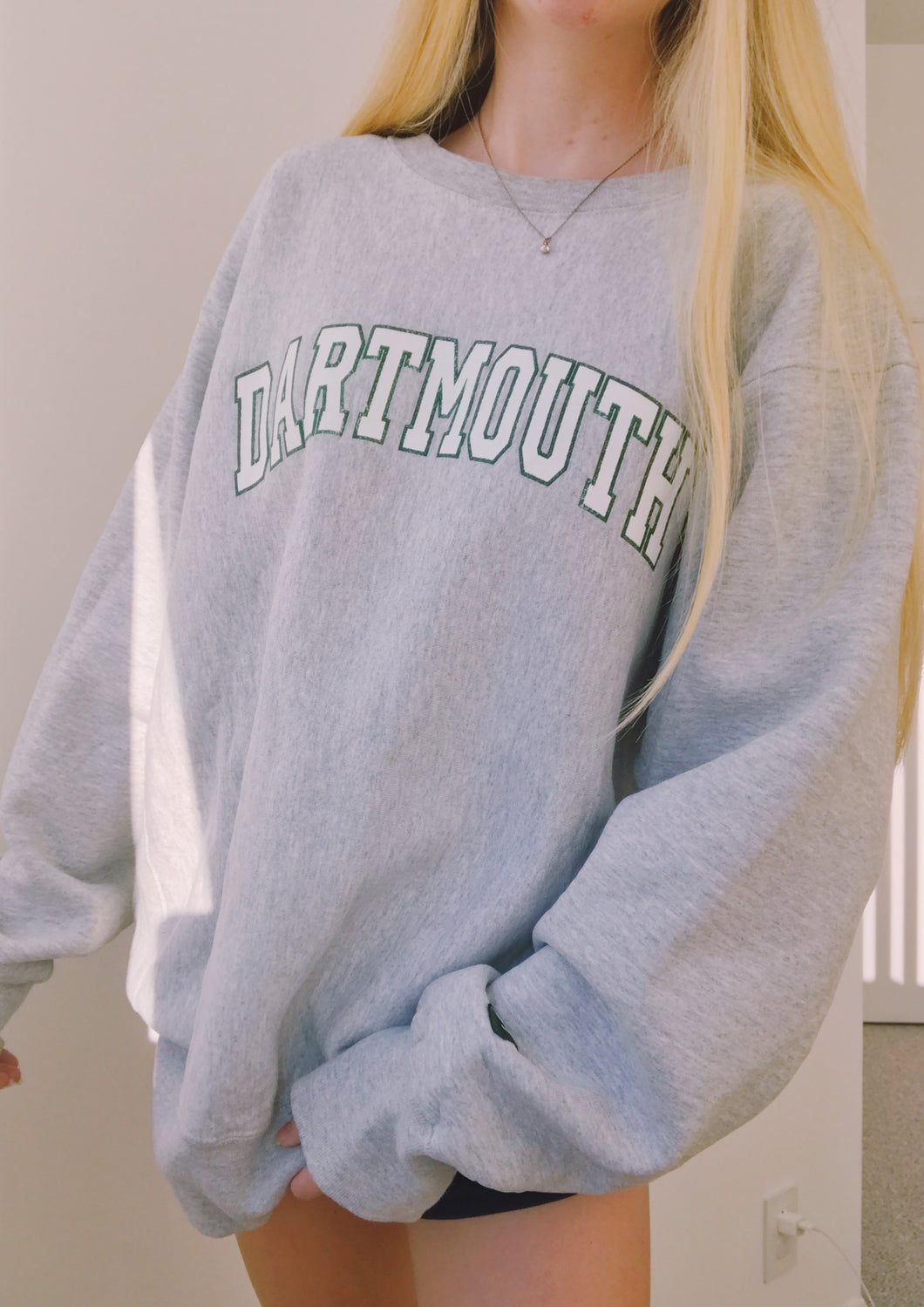 (L/XL) Dartmouth Sweatshirt