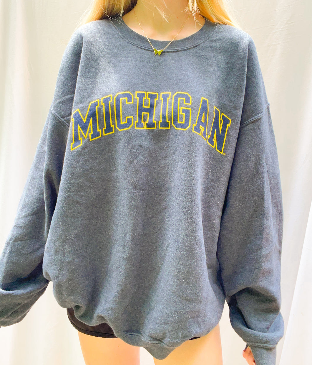 (L) Michigan Sweatshirt