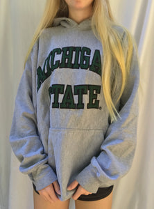 (L) Michigan State Hoodie