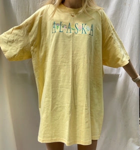 (XL) Alaska Embroidered Shirt (NWT)