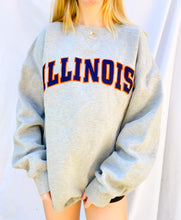 Load image into Gallery viewer, (XXL) Illinois Sweatshirt
