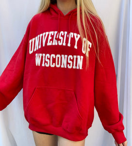 (M) Wisconsin Hoodie