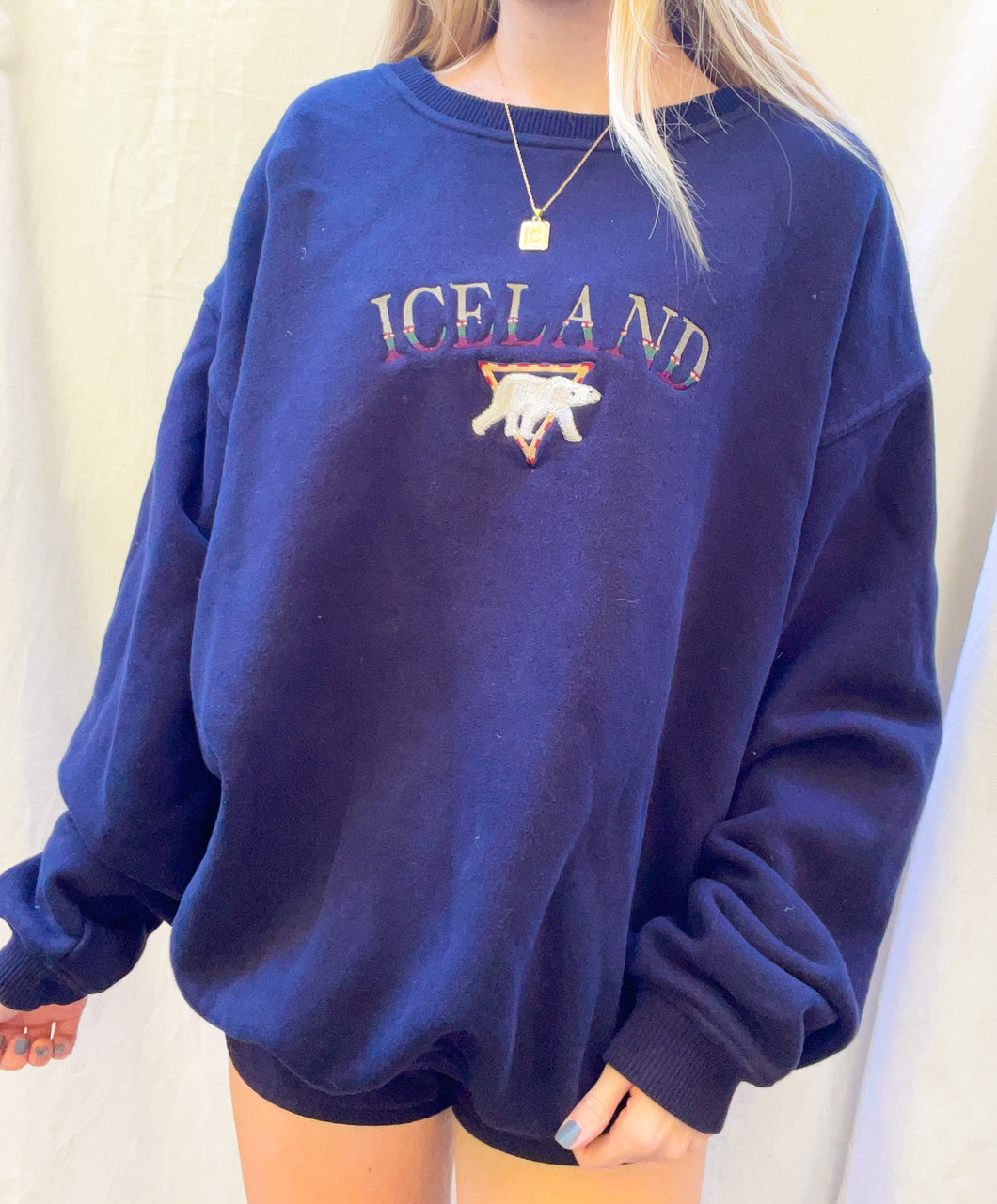 (M) Iceland Embroidered Sweatshirt