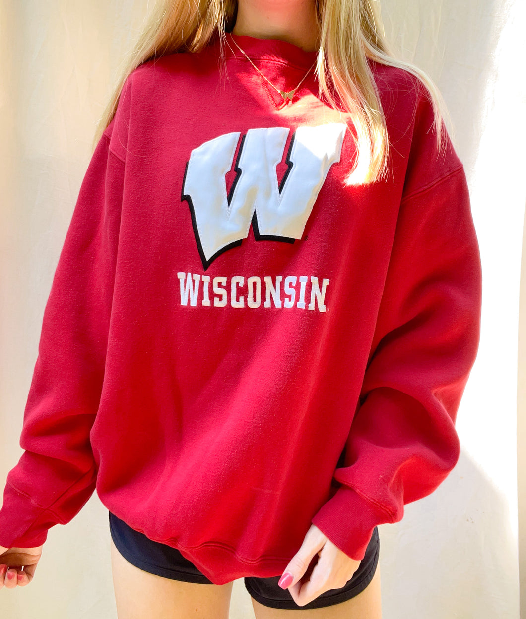 (M) Wisconsin Sweatshirt