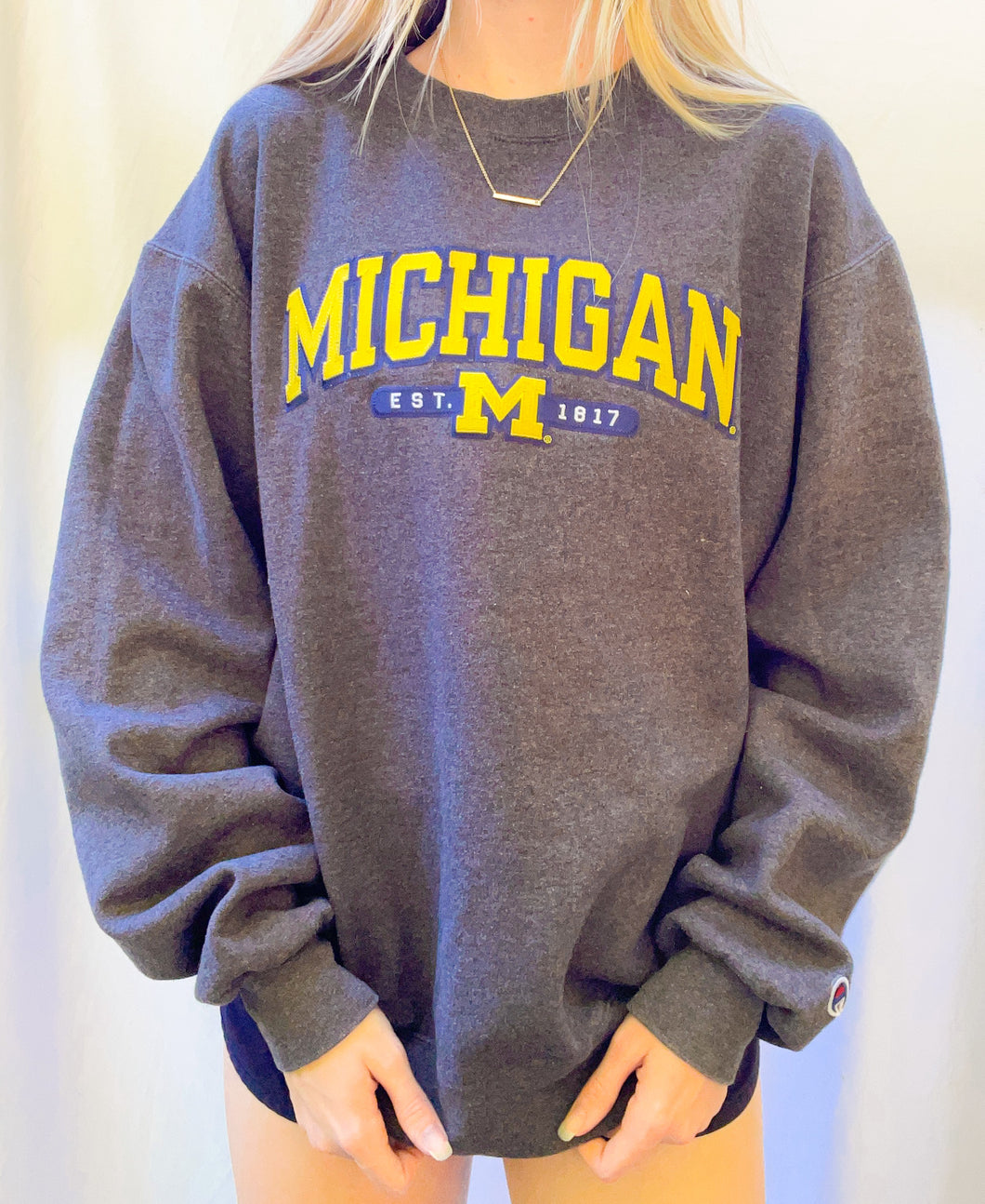 (M) Michigan Champion Sweatshirt