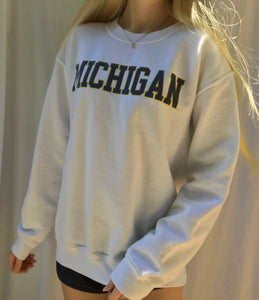 (S) Michigan Sweatshirt