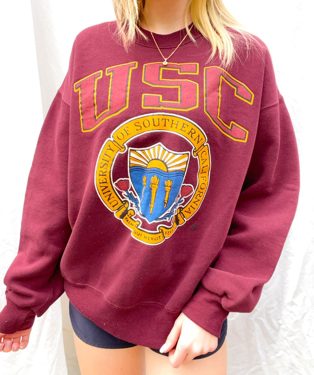 (S) USC Sweatshirt