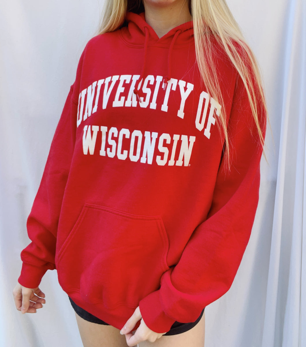 (M) Wisconsin Hoodie