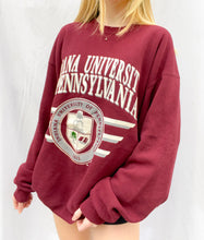 Load image into Gallery viewer, (L) Indiana U of Penn Sweatshirt
