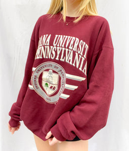 (L) Indiana U of Penn Sweatshirt