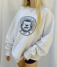 Load image into Gallery viewer, (L) Michigan Champion Reverse Weave Sweatshirt NWT
