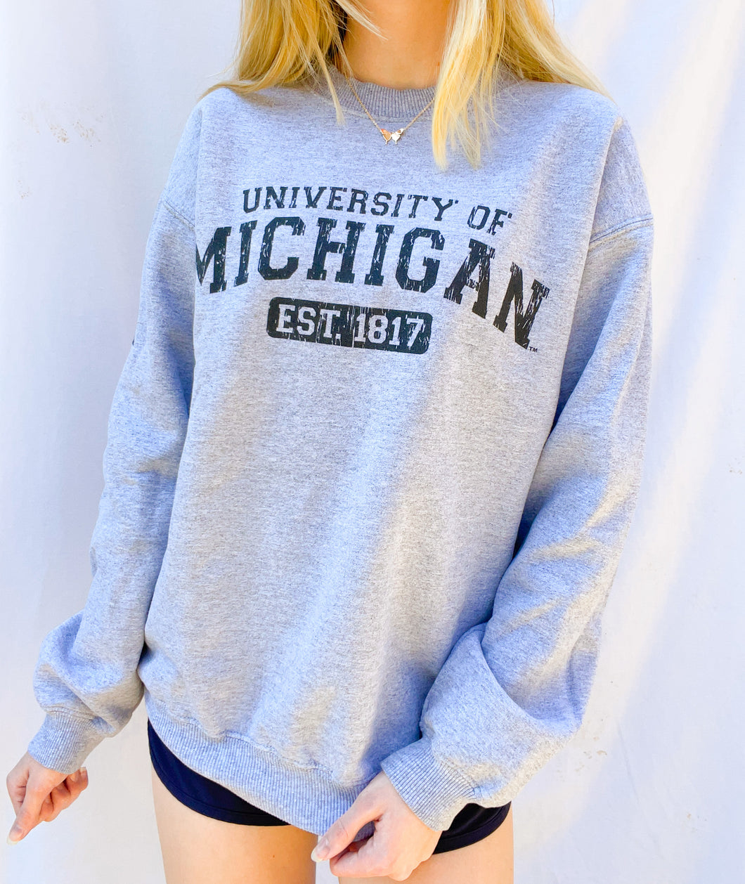 (S) Michigan Sweatshirt